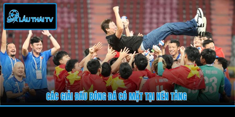 Các giải đấu bóng đá có mặt tại nền tảng