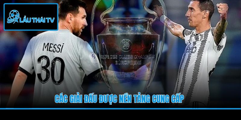 Các giải đấu được nền tảng cung cấp
