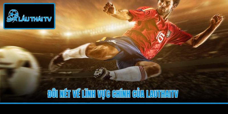 Đôi nét về lĩnh vực chính của LauThaiTV