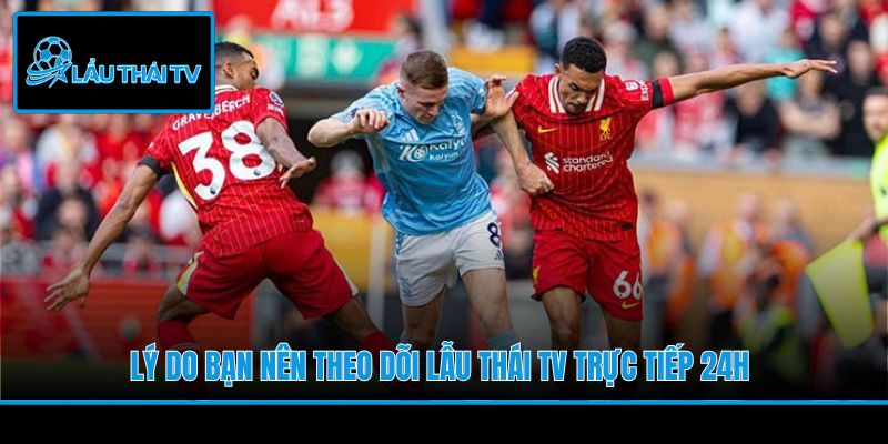 Lý do bạn nên theo dõi Lẫu Thái TV trực tiếp 24h