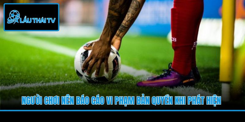 Người chơi nên báo cáo vi phạm bản quyền khi phát hiện