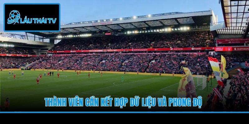 Thành viên cần kết hợp dữ liệu và phong độ